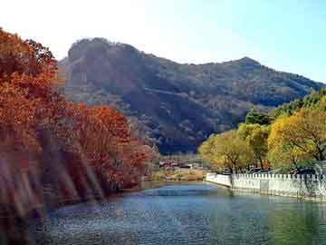 正新澳门二四六天天彩，丰田花冠召回